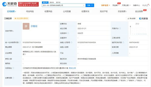 应用软件服务 数字化转型时代的企业引擎