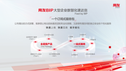 应用软件服务的现状与未来趋势